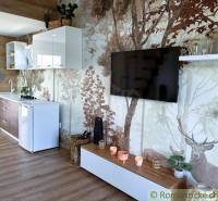 Interior of a cabin with a forest theme, kitchenette, and a TV on the wall.