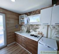 A kitchen in a cabin with a wooden floor and a forest motif on the wall.