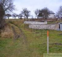 A dirt road leads to the house, surrounded by trees and a stone cellar in the garden.