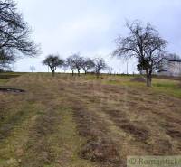 A vast field with fruit trees near a country house and garden.
