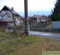 Houses by the road, trees, grass, and gardens on a quiet village street.