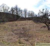 A view of a grassy plot with a fruit tree, surrounded by trees, suitable for a family house.