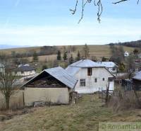A rural panorama with a family house and a cottage surrounded by nature and scattered trees.