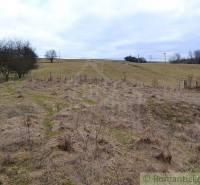 Winter landscape: Agricultural lands, trees, grass, winter, forest lands, power lines.