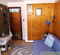 Interior of a family house with wooden walls, a sofa, decorative plants, and a carpet.