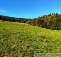 A green meadow surrounded by forest, ideal for building a family house or relaxing in nature.