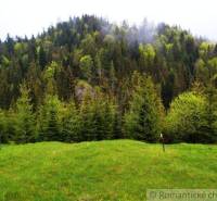 Hilly landscape, green trees and meadow, ideal for relaxation in nature and gardens.