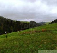 Green meadows with trees in the background; a beautiful natural setting suitable for gardens.