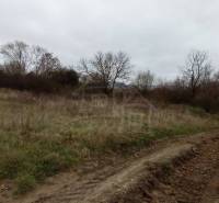 The image shows agricultural and forest land with a road and overgrown grass.