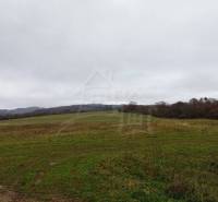 Vast fields and forest lands on gently rolling terrain under a cloudy sky.