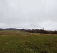 Flat agricultural lands under a cloudy sky with a forest in the distance.