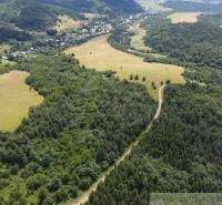 An aerial view of vast green forests and meadows, with a winding road snaking through them.