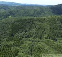 Beautiful mountain landscape with lush greenery and picturesque gardens, ideal for rest and relaxation.