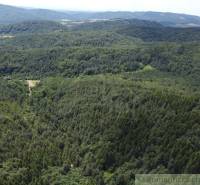 Mountain landscape with dense forests, scenery surrounded by nature and beautiful gardens.
