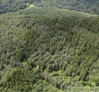 Aerial view of green forests and dense gardens offering a serene natural scenery.