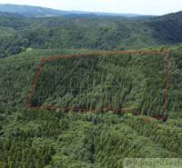 Aerial view of a forest landscape with a marked plot and nearby forests and gardens.