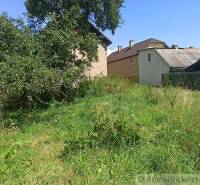 Overgrown plot with a fruit tree, ideal for living in a quiet location.