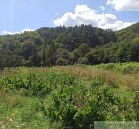 A meadow with a forest in the background, ideal for land and living in nature.