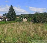 A rural plot with older houses and surrounding greenery for living and development.