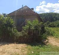 An old cottage with a collapsed roof surrounded by greenery in a peaceful setting on the grounds.