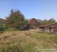 Garden, old wooden family house, two wooden structures, fruit tree, countryside.