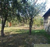 A rural yard at a family house with fruit trees and a wooden shed.