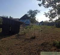 In the picture, there is a garden with a wooden cabin, trees, and a visible family house in the background.