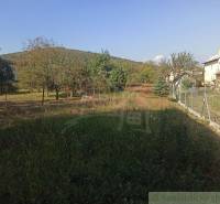 A garden with fruit trees in the background, next to a family house, paved path, fencing.