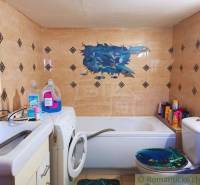 The family house has a bathroom with a bathtub, a washing machine, a sink, and wall decorations.