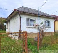 A classic cottage by the house with a small garden behind the fence and a blooming bush.