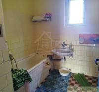 The bathroom in the family house includes a bathtub, a sink, and green floor mats.
