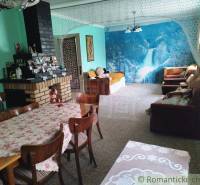 Interior of a family house with a fireplace, a convertible sofa, and nature wall decoration.