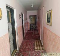 A narrow hallway in a family house with carpet, paintings, and pink walls.