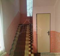 Staircase and doors inside the building, bright walls, entrance, family house.
