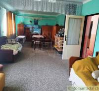 Living room in a family house with sofas, carpet, and furniture.