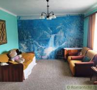Living room with mountain wallpaper, sofa, armchairs, teddy bear. Interior of a family house.