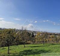 Gardens with fruit trees on a hill, with a view of the city in the background.