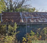 An abandoned cottage with a rusty roof surrounded by dense greenery and a garden of trees.