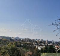 A view of the city skyline through green gardens and parks with buildings on the horizon.