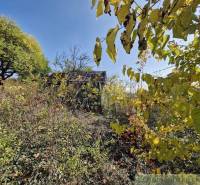 A house surrounded by lush greenery and trees, ideal for natural gardens.
