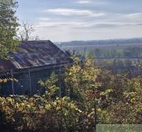 An old country house surrounded by autumn greenery in a sunny garden.
