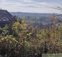 An overgrown garden with an old building, autumn landscape, view of fields and gardens.