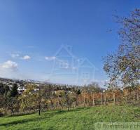 Expansive gardens with a view of the city and blue skies, surrounded by nature.