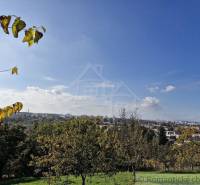 A view of the landscape with trees and a city in the background, blue sky. Gardens.