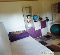 Interior of a family house, bed, shelves, globe, rug, plants, exercise ball, storage space.