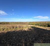 A picturesque panoramic view of agricultural and forest lands under a blue sky.