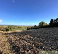 A plowed field with a view, surrounding trees. Agricultural and forest lands in the distance.