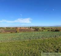 A panorama of the landscape with agricultural lands and forest areas under a clear sky.