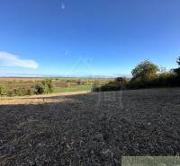 Vast agricultural and forest lands with a blue sky and a view of nature.