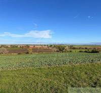 Flat agricultural and forest lands with a road, buildings, and a clear blue sky.
